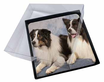 4x Border Collies Picture Table Coasters Set in Gift Box