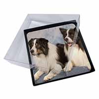 4x Border Collies Picture Table Coasters Set in Gift Box