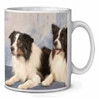 Border Collies Ceramic 10oz Coffee Mug/Tea Cup
