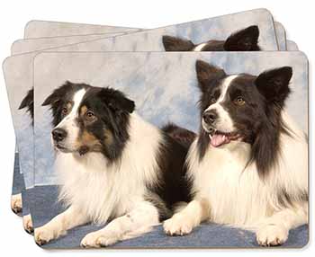 Border Collies Picture Placemats in Gift Box