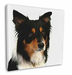 Tri-Colour Border Collie Dog Square Canvas 12"x12" Wall Art Picture Print