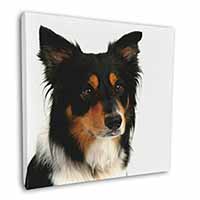 Tri-Colour Border Collie Dog Square Canvas 12"x12" Wall Art Picture Print