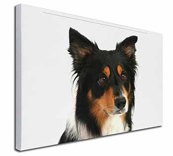 Tri-Colour Border Collie Dog Canvas X-Large 30"x20" Wall Art Print