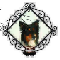 Tri-Colour Border Collie Dog Wrought Iron Wall Art Candle Holder