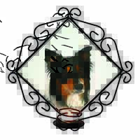 Tri-Colour Border Collie Dog Wrought Iron Wall Art Candle Holder