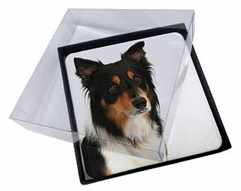 4x Tri-Colour Border Collie Dog Picture Table Coasters Set in Gift Box