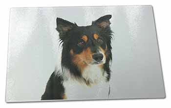 Large Glass Cutting Chopping Board Tri-Colour Border Collie Dog