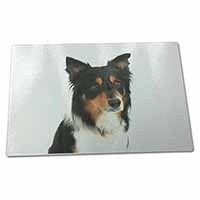 Large Glass Cutting Chopping Board Tri-Colour Border Collie Dog