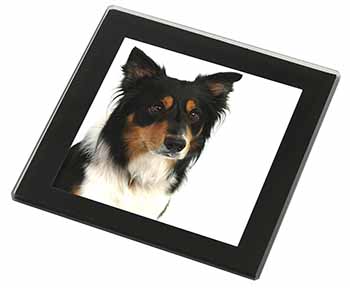 Tri-Colour Border Collie Dog Black Rim High Quality Glass Coaster