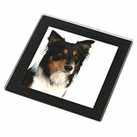 Tri-Colour Border Collie Dog Black Rim High Quality Glass Coaster