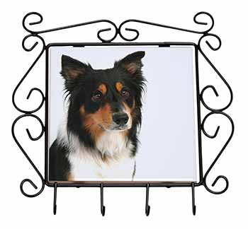 Tri-Colour Border Collie Dog Wrought Iron Key Holder Hooks