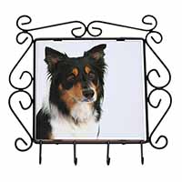 Tri-Colour Border Collie Dog Wrought Iron Key Holder Hooks