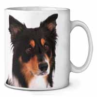 Tri-Colour Border Collie Dog Ceramic 10oz Coffee Mug/Tea Cup