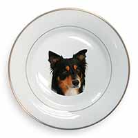 Tri-Colour Border Collie Dog Gold Rim Plate Printed Full Colour in Gift Box