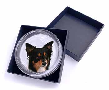 Tri-Colour Border Collie Dog Glass Paperweight in Gift Box