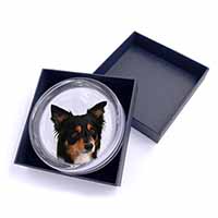 Tri-Colour Border Collie Dog Glass Paperweight in Gift Box