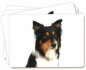 Tri-Colour Border Collie Dog Picture Placemats in Gift Box