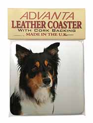 Tri-Colour Border Collie Dog Single Leather Photo Coaster