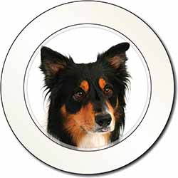 Tri-Colour Border Collie Dog Car or Van Permit Holder/Tax Disc Holder
