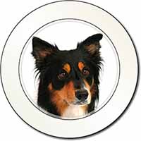 Tri-Colour Border Collie Dog Car or Van Permit Holder/Tax Disc Holder