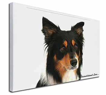 Tri-Colour Border Collie-Love Canvas X-Large 30"x20" Wall Art Print