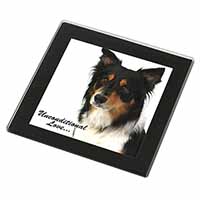 Tri-Colour Border Collie-Love Black Rim High Quality Glass Coaster