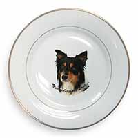 Tri-Colour Border Collie-Love Gold Rim Plate Printed Full Colour in Gift Box