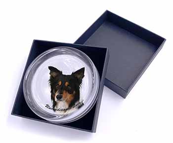 Tri-Colour Border Collie-Love Glass Paperweight in Gift Box