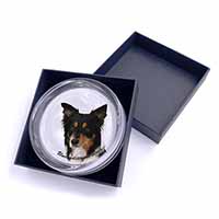 Tri-Colour Border Collie-Love Glass Paperweight in Gift Box