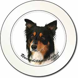 Tri-Colour Border Collie-Love Car or Van Permit Holder/Tax Disc Holder