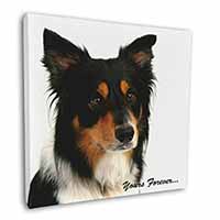 Tri-colour Border Collie Dog "Yours Forever..." Square Canvas 12"x12" Wall Art P
