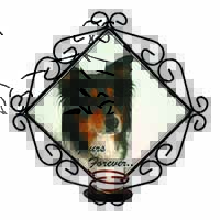 Tri-colour Border Collie Dog "Yours Forever..." Wrought Iron Wall Art Candle Hol