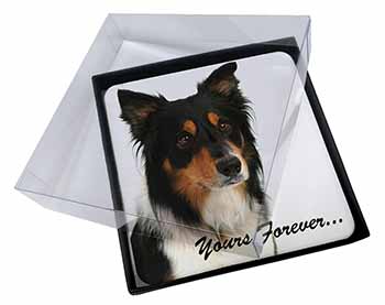 4x Tri-colour Border Collie Dog "Yours Forever..." Picture Table Coasters Set in