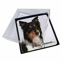 4x Tri-colour Border Collie Dog "Yours Forever..." Picture Table Coasters Set in
