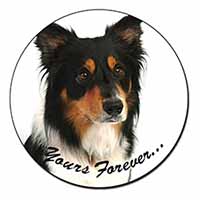 Tri-colour Border Collie Dog "Yours Forever..." Fridge Magnet Printed Full Colou