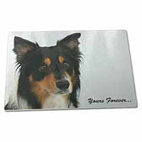 Large Glass Cutting Chopping Board Tri-colour Border Collie Dog "Yours Forever..