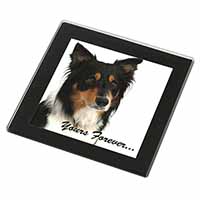 Tri-colour Border Collie Dog "Yours Forever..." Black Rim High Quality Glass Coa