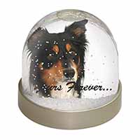 Tri-colour Border Collie Dog "Yours Forever..." Snow Globe Photo Waterball