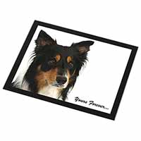 Tri-colour Border Collie Dog "Yours Forever..." Black Rim High Quality Glass Pla