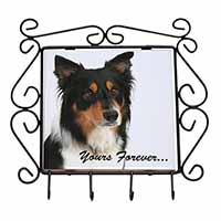 Tri-colour Border Collie Dog "Yours Forever..." Wrought Iron Key Holder Hooks