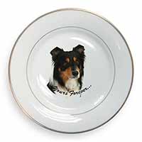 Tri-colour Border Collie Dog "Yours Forever..." Gold Rim Plate Printed Full Colo