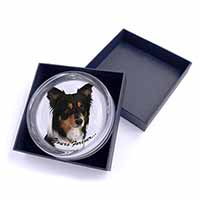 Tri-colour Border Collie Dog "Yours Forever..." Glass Paperweight in Gift Box