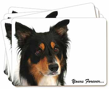 Tri-colour Border Collie Dog "Yours Forever..." Picture Placemats in Gift Box