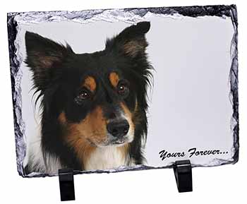 Tri-colour Border Collie Dog "Yours Forever...", Stunning Photo Slate
