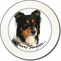 Tri-colour Border Collie Dog "Yours Forever..." Car or Van Permit Holder/Tax Dis