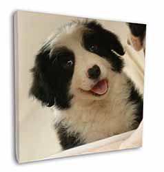 Border Collie in Mirror Square Canvas 12"x12" Wall Art Picture Print
