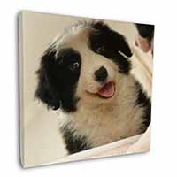 Border Collie in Mirror Square Canvas 12"x12" Wall Art Picture Print