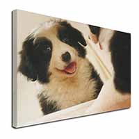 Border Collie in Mirror Canvas X-Large 30"x20" Wall Art Print