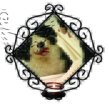 Border Collie in Mirror Wrought Iron Wall Art Candle Holder