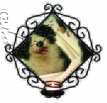 Border Collie in Mirror Wrought Iron Wall Art Candle Holder